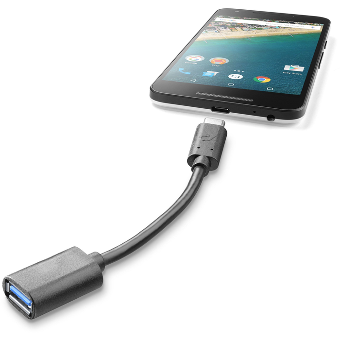 USB-C Cord & USB-A Adapter, Accessories